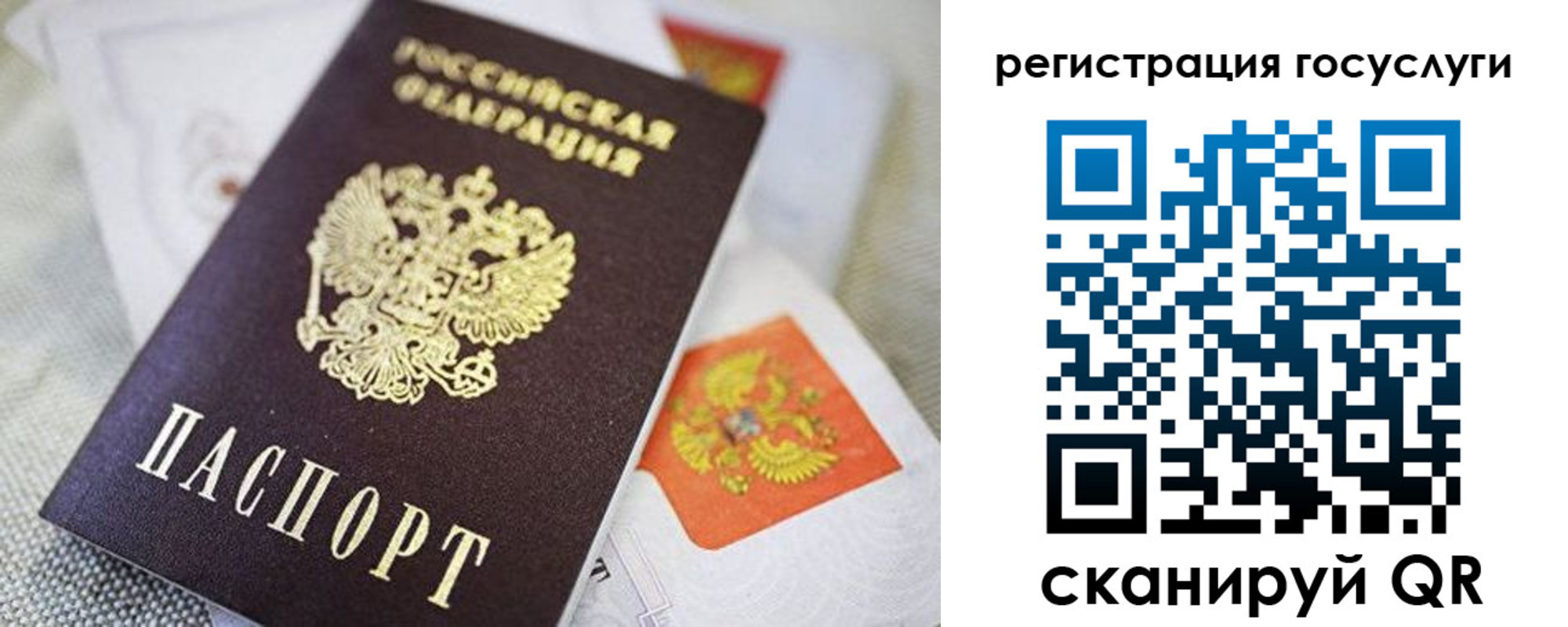 прописка паспорт в Балтийске